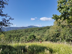 菅平牧場