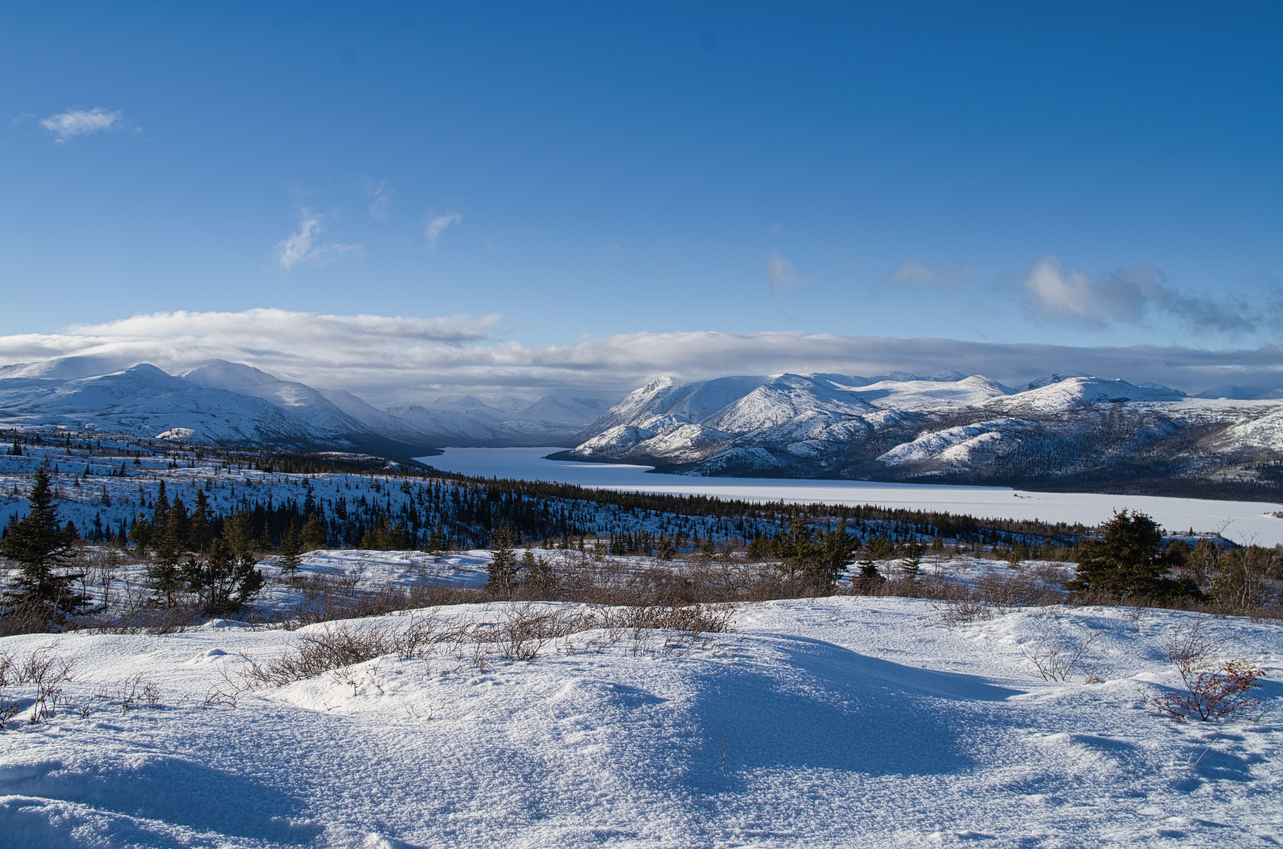 雪原と極地をイメージした写真
